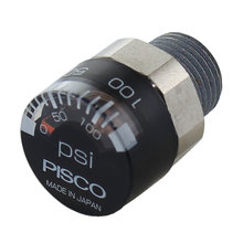 Pressure Gauge with 1/8 in. NPT Fitting 